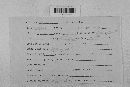 Venturia inaequalis image
