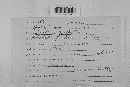 Venturia inaequalis image