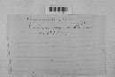 Venturia inaequalis image
