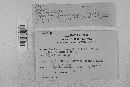 Venturia inaequalis image