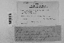 Venturia inaequalis image