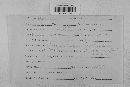 Venturia inaequalis image