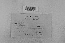Venturia inaequalis image
