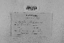 Venturia inaequalis image