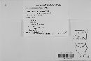 Venturia inaequalis image