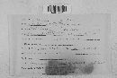 Venturia inaequalis image