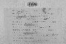 Venturia inaequalis image