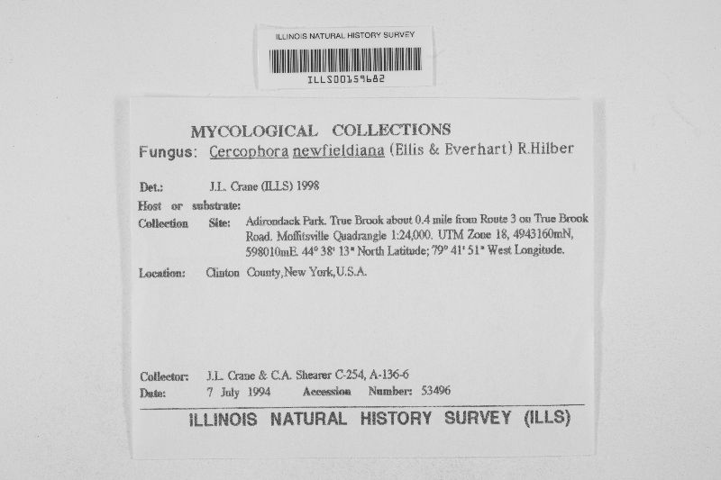 Cercophora newfieldiana image