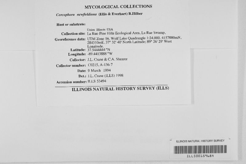 Cercophora newfieldiana image