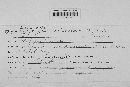 Lachnum virgineum image