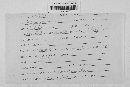 Golovinomyces cichoracearum image