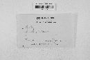 Blumeria graminis image