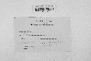 Blumeria graminis image