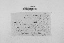 Erysiphe polygoni image