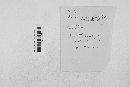Erysiphe polygoni image