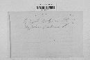 Erysiphe polygoni image