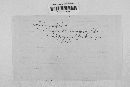 Erysiphe polygoni image