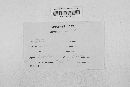 Gibberella zeae image