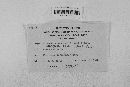 Gibberella zeae image