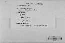 Gibberella zeae image
