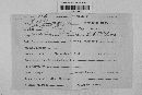 Gibberella zeae image