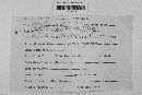 Gibberella zeae image
