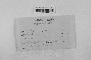 Gibberella zeae image