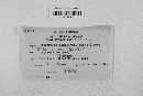Gibberella zeae image