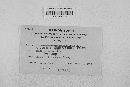 Gibberella zeae image