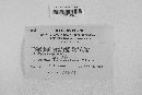 Gibberella zeae image