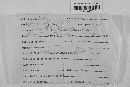 Gibberella zeae image