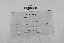 Gibberella zeae image
