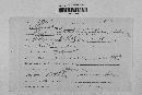 Stegophora ulmea image