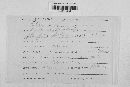 Stegophora ulmea image