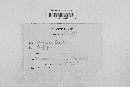 Guignardia bidwellii image