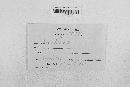 Guignardia bidwellii image