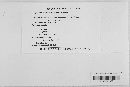 Guignardia bidwellii image