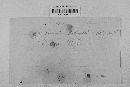 Guignardia bidwellii image