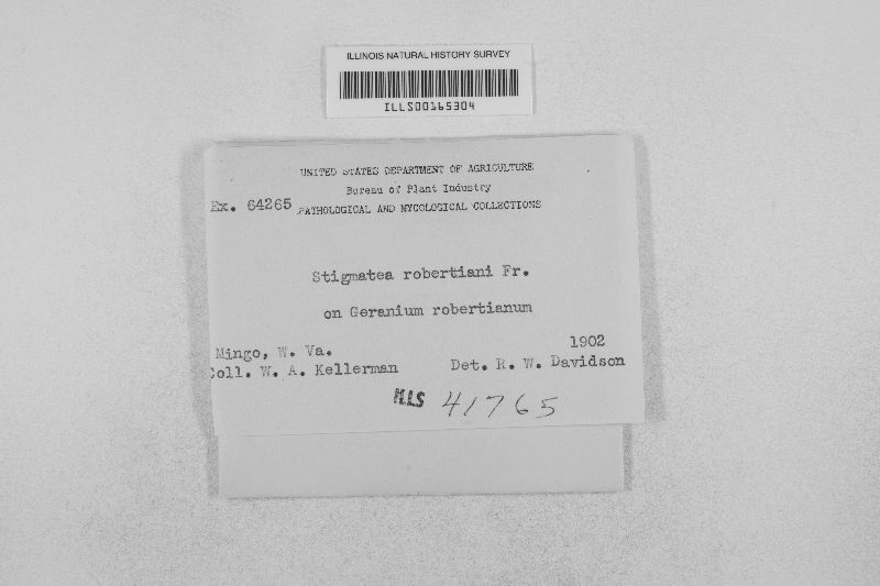 Coleroa robertiani image