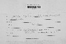Hyalinia rubella image