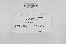 Leptosphaeria doliolum image