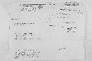 Leptosphaeria fraserae image