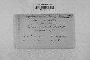 Lophodermium nitens image