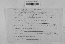 Mycosphaerella rubi image
