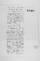 Pleospora betae image