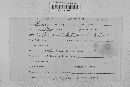 Podosphaera clandestina image