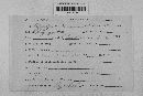 Pseudopeziza medicaginis image