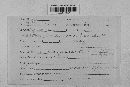 Pseudopeziza medicaginis image