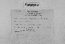 Pseudopeziza medicaginis image