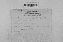 Pseudopeziza medicaginis image